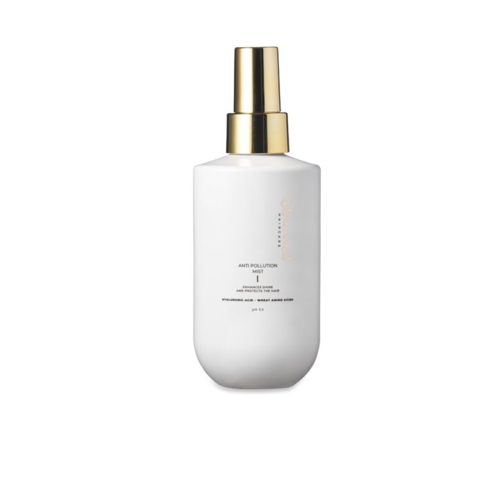 Obsessed Anti pollution mist